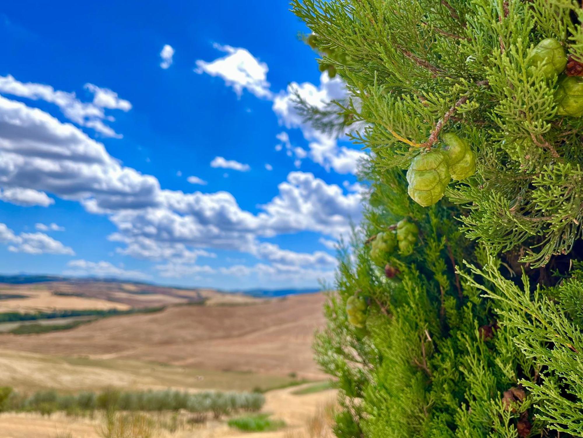 Poggiosalto In Toscana Pienza Exterior photo